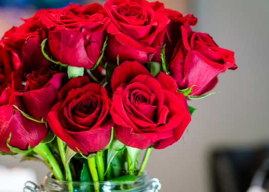 Red Roses For Valentine's Day