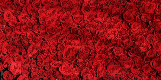 What Do Different Numbers Of Roses Mean? Find Out Now!