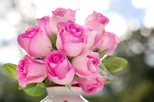 Affordable Ways To Celebrate Valentine’s Day With Your Loved One.