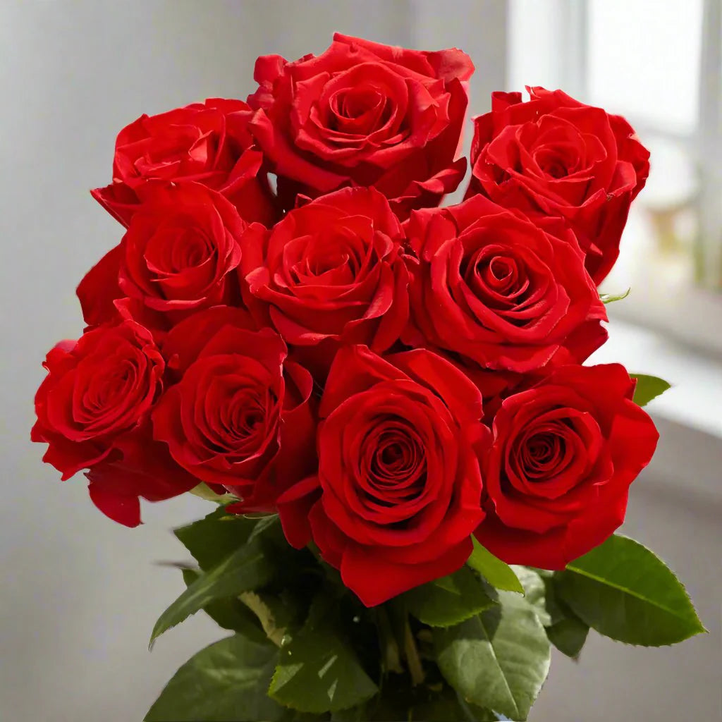 Just Roses Red