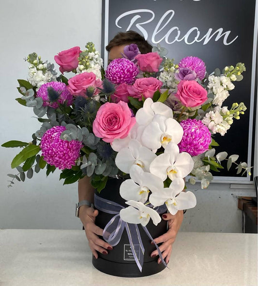 Orchid Obsession