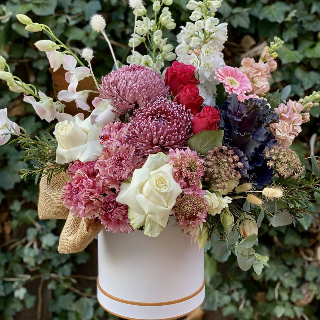 Pandora’s Hat Box