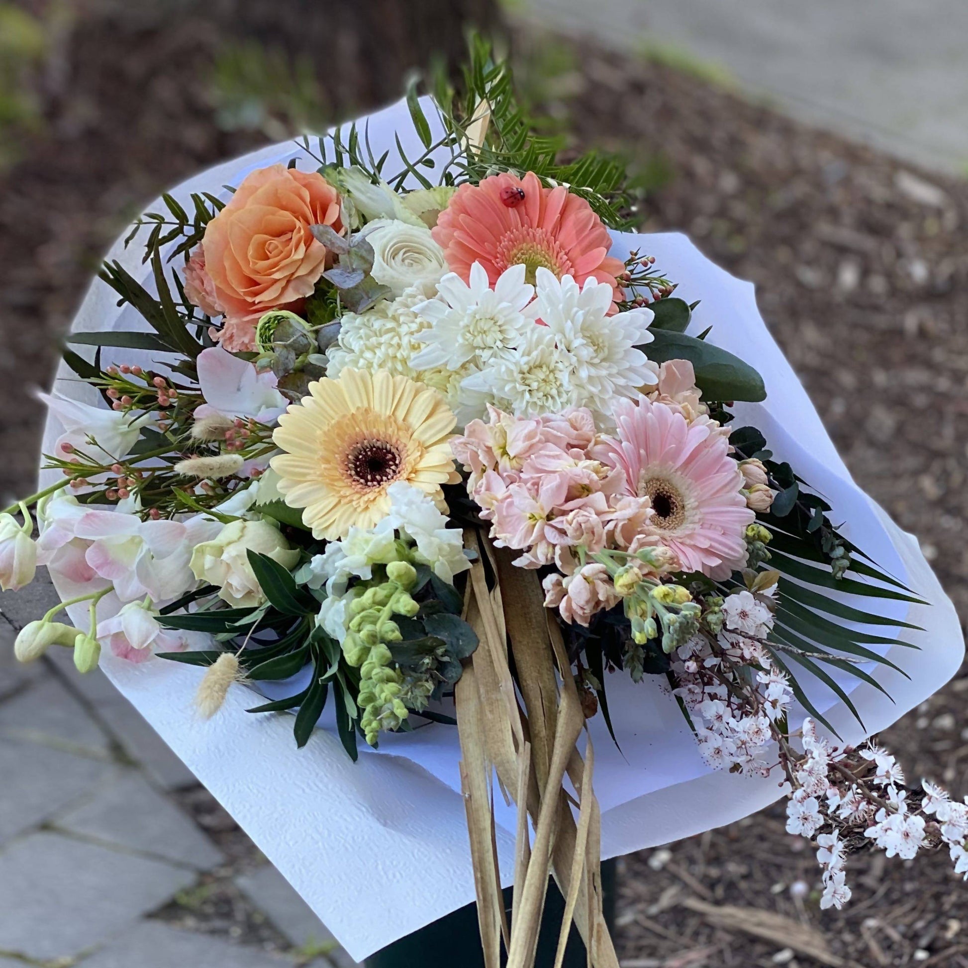 Same Day Flower Delivery - Butterfly Kisses - Naz Flowers and Gifts