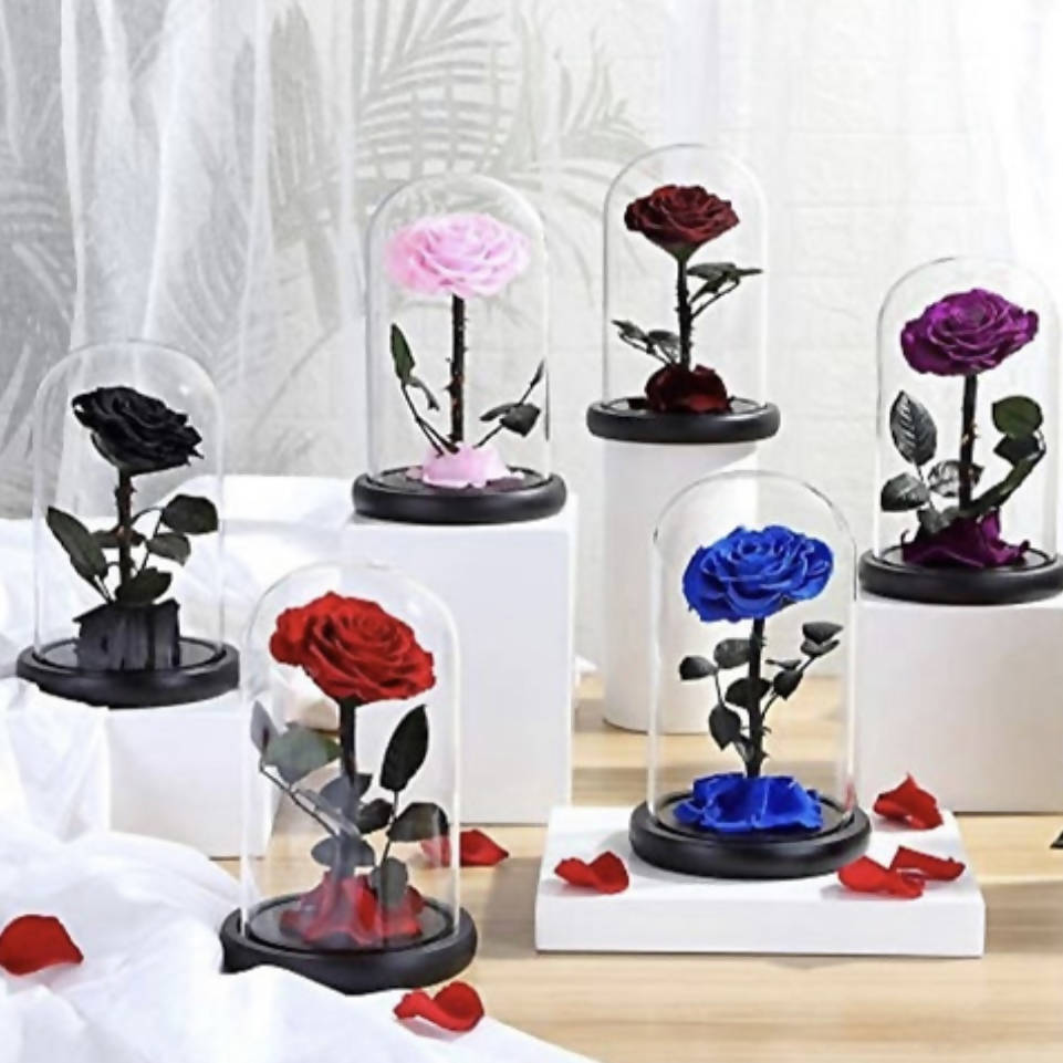 Everlasting Rose Dome
