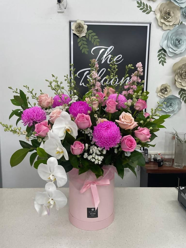 Pink Love Orchid Obsession