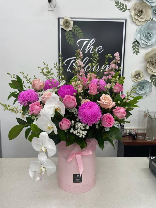 Pink Love Orchid Obsession