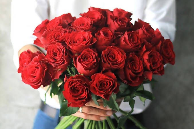 Medium Size Roses