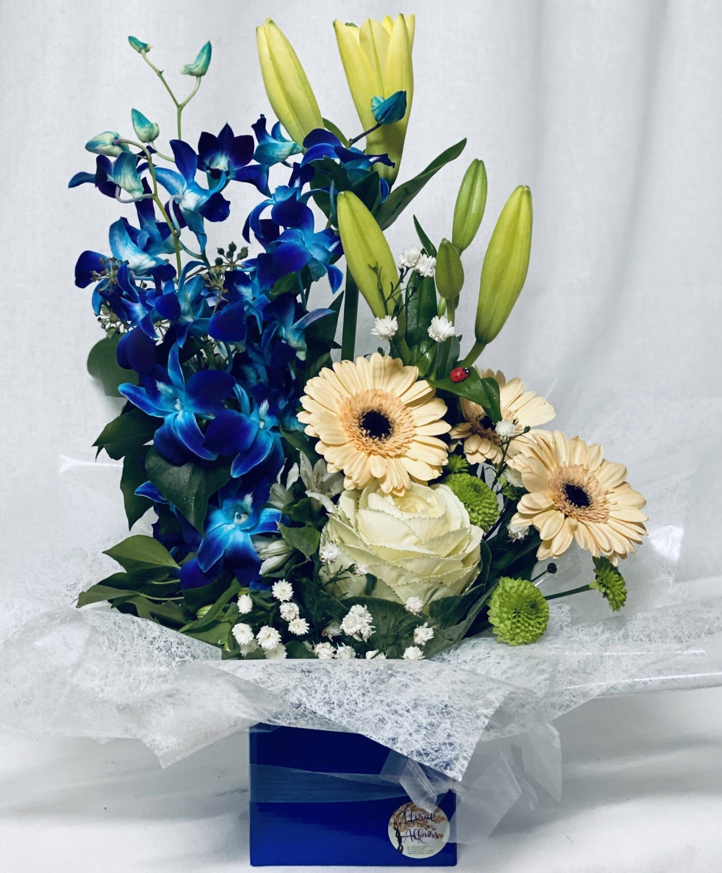 Same Day Flower Delivery - Blue Cuddles - Naz Flowers and Gifts