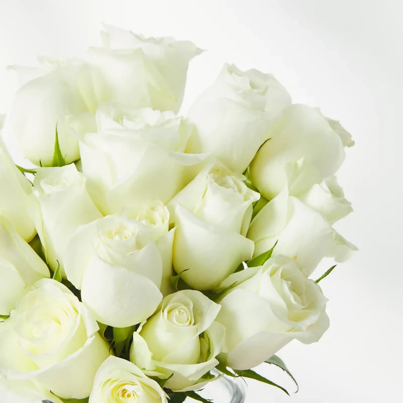  Classic Roses (Pink or White) - Flower Delivery Melbourne