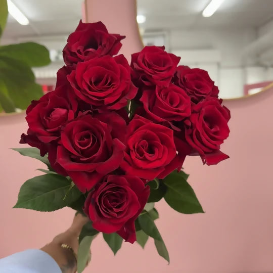 Roses Classic - Perfect Valentines, Anniversary Day Flowers