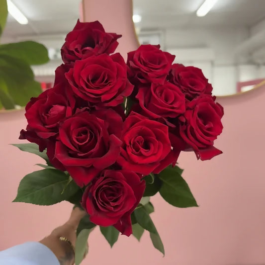  Valentine's Day Red Roses (Short) - Flower Delivery Melbourne