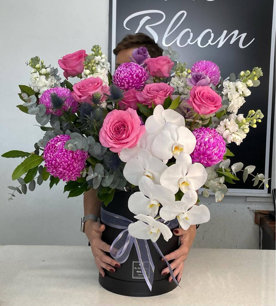 Orchid Obsession