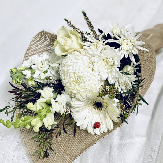 Same Day Flower Delivery - Mini Creme - Naz Flowers and Gifts