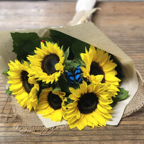 Sunflowers & Butterfly