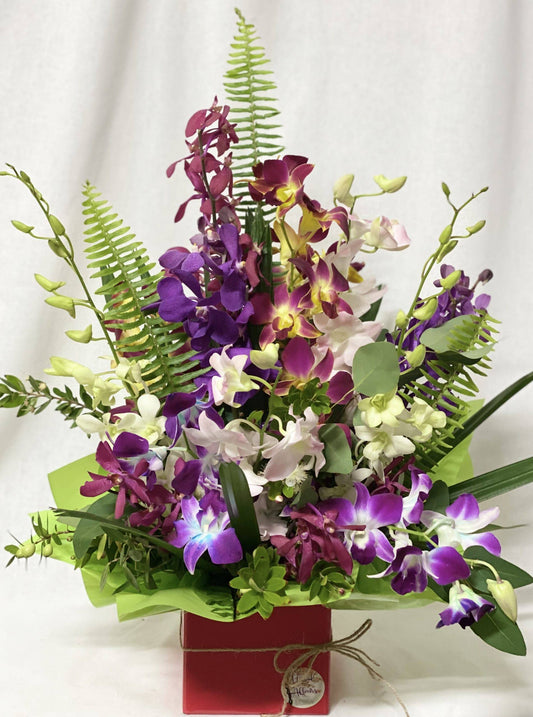 Same Day Flower Delivery - Orchid Obsession - Naz Flowers and Gifts